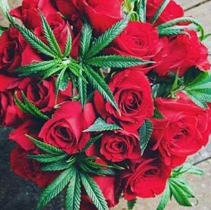 Meet your Posher, Irene